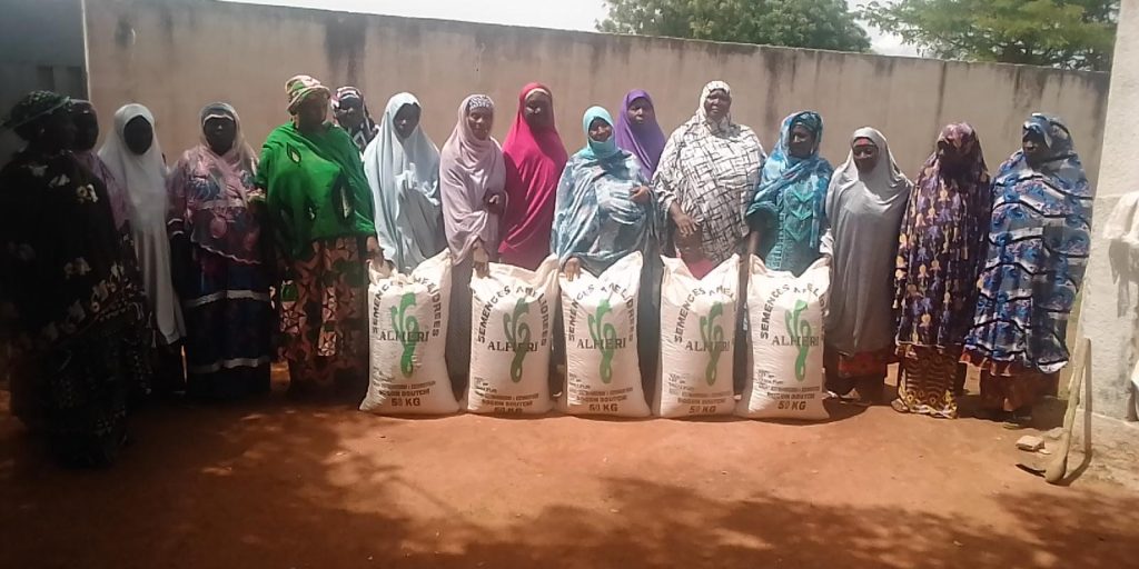 Mise en place des semences aux productrices d’arachide